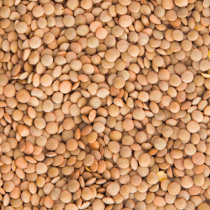 Lentils
